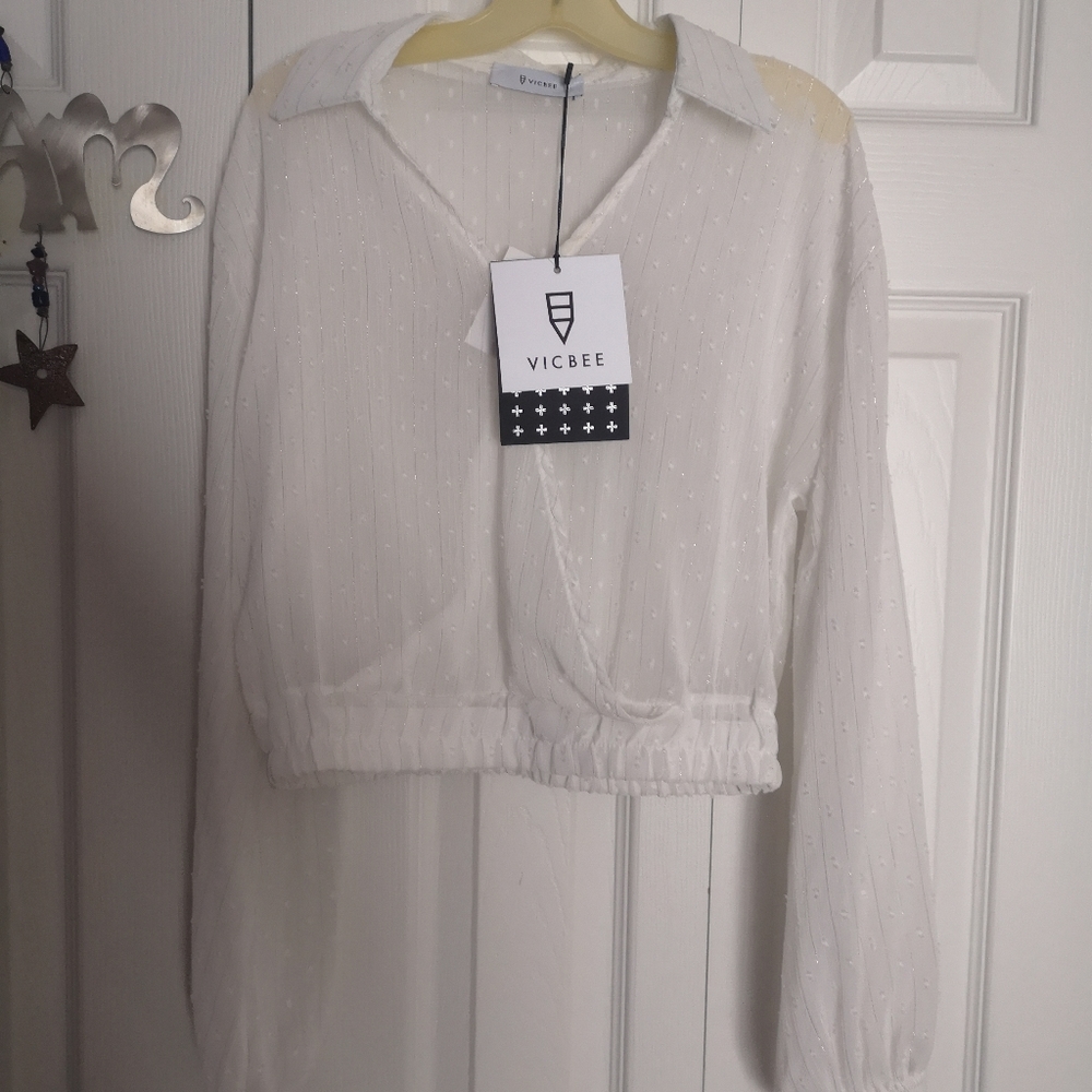 White Translucent Collared Cropped Blouse